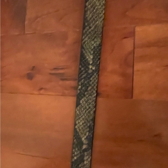 Express Belt - Picture 4 of 6